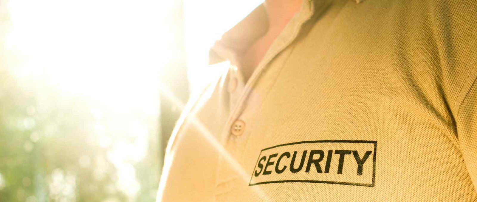 building-security-services